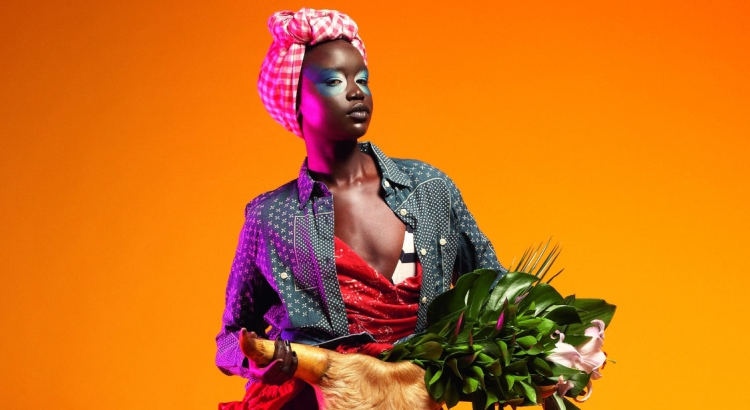 Nigeria Photo Festival