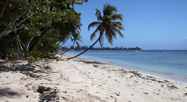 Pigeon Point, Tobago by neiljs, on Flickr