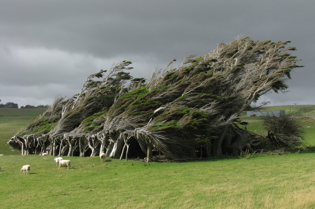 Slope Point, New Zealand